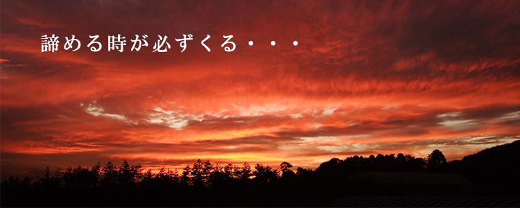 諦める